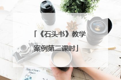 《石头书》教学案例第二课时