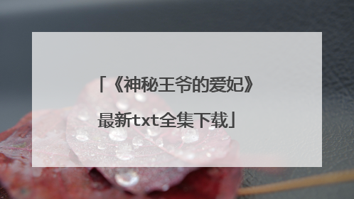 《神秘王爷的爱妃》最新txt全集下载