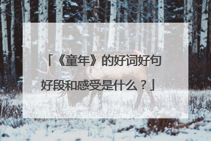 《童年》的好词好句好段和感受是什么?
