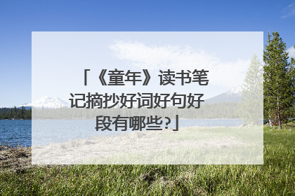 《童年》读书笔记摘抄好词好句好段有哪些?
