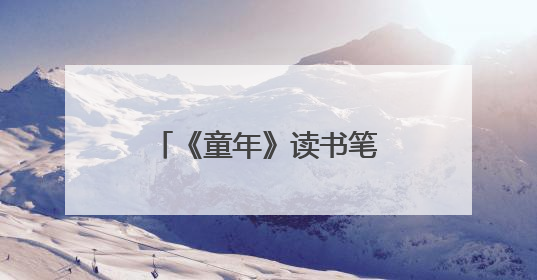《童年》读书笔记摘抄好词好句