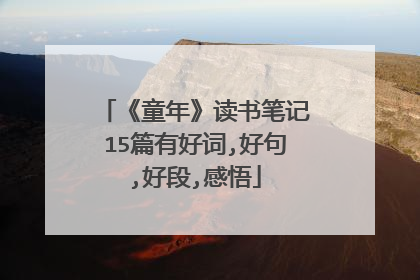 《童年》读书笔记15篇有好词,好句,好段,感悟