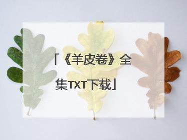《羊皮卷》全集TXT下载