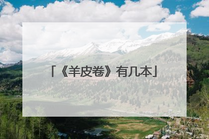 《羊皮卷》有几本