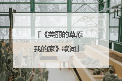 《美丽的草原我的家》歌词