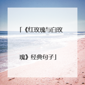 《红玫瑰与白玫瑰》经典句子