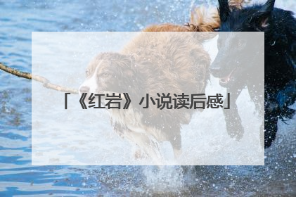 《红岩》小说读后感