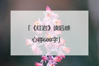 《红岩》读后感心得600字