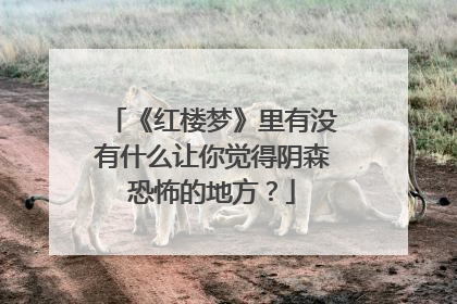 《红楼梦》里有没有什么让你觉得阴森恐怖的地方?
