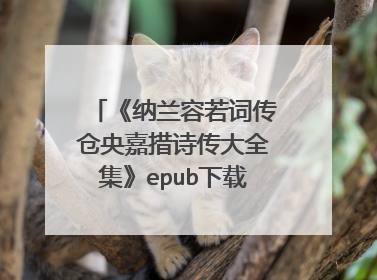 《纳兰容若词传仓央嘉措诗传大全集》epub下载在线阅读全文,求百度网盘云资源