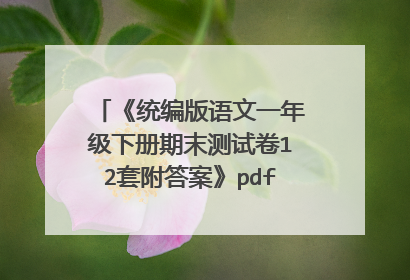 《统编版语文一年级下册期末测试卷12套附答案》pdf下载在线阅读全文,求百度网盘云资源