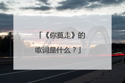 《你莫走》的歌词是什么?