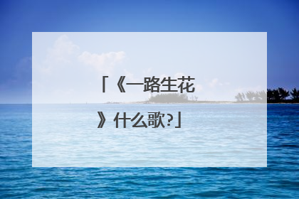 《一路生花》什么歌?