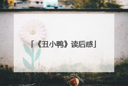《丑小鸭》读后感