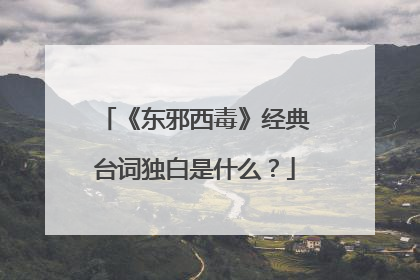《东邪西毒》经典台词独白是什么？