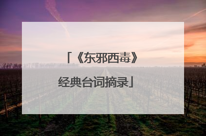 《东邪西毒》经典台词摘录