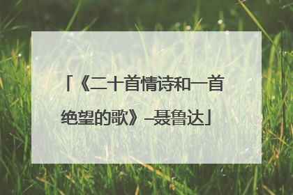 《二十首情诗和一首绝望的歌》—聂鲁达
