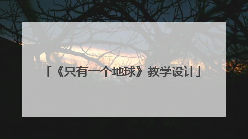 《只有一个地球》教学设计