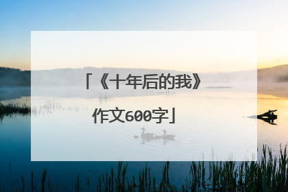 《十年后的我》作文600字