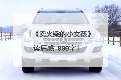 《卖火柴的小女孩》读后感 800字
