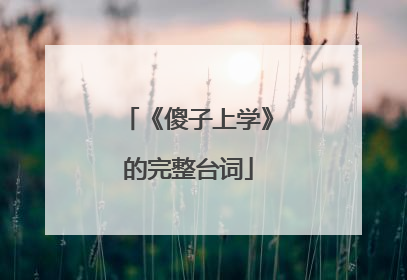 《傻子上学》的完整台词
