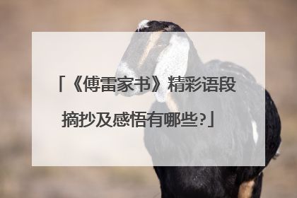 《傅雷家书》精彩语段摘抄及感悟有哪些?