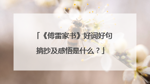《傅雷家书》好词好句摘抄及感悟是什么?
