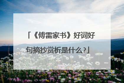 《傅雷家书》好词好句摘抄赏析是什么?