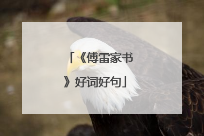 《傅雷家书》好词好句