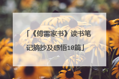 《傅雷家书》读书笔记摘抄及感悟10篇