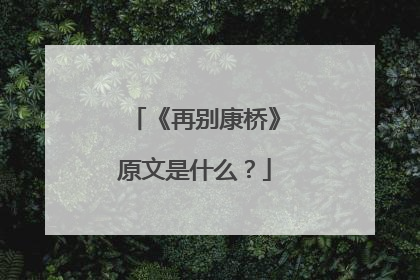 《再别康桥》原文是什么?