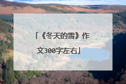 《冬天的雪》作文300字左右
