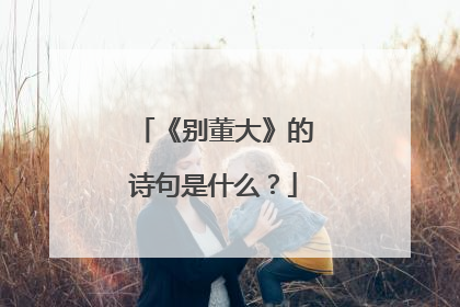 《别董大》的诗句是什么？