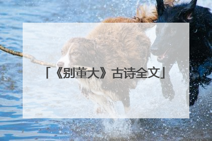 《别董大》古诗全文