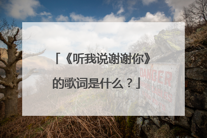 《听我说谢谢你》的歌词是什么?