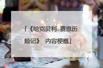 《哈克贝利.费恩历险记》 内容梗概
