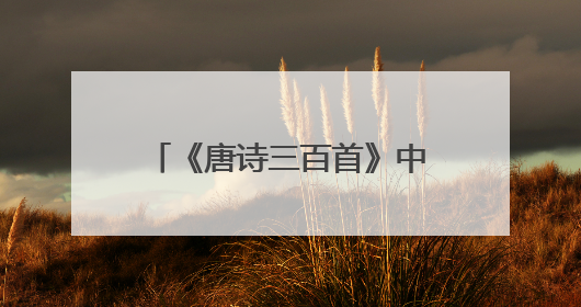 《唐诗三百首》中李白的诗有哪些？