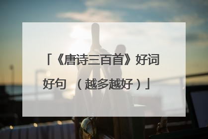 《唐诗三百首》好词好句 (越多越好)