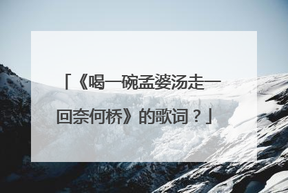 《喝一碗孟婆汤走一回奈何桥》的歌词?