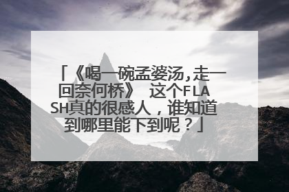《喝一碗孟婆汤,走一回奈何桥》 这个FLASH真的很感人，谁知道到哪里能下到呢？