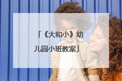 《大和小》幼儿园小班教案