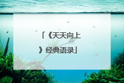 《天天向上》经典语录