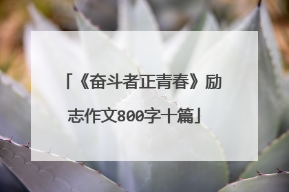 《奋斗者正青春》励志作文800字十篇