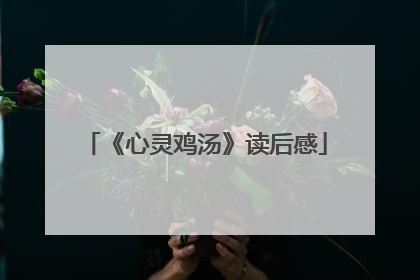 《心灵鸡汤》读后感