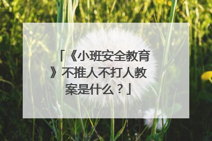 《小班安全教育》不推人不打人教案是什么？
