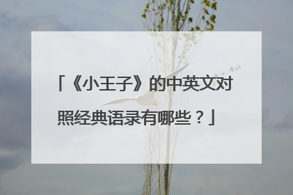 《小王子》的中英文对照经典语录有哪些?