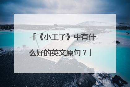 《小王子》中有什么好的英文原句？