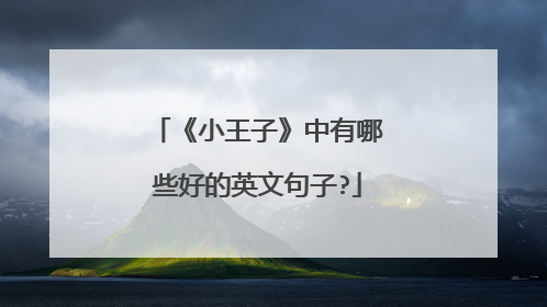 《小王子》中有哪些好的英文句子?