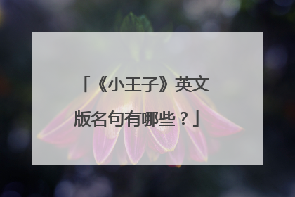 《小王子》英文版名句有哪些？