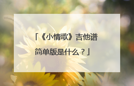 《小情歌》吉他谱简单版是什么?